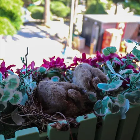 Séjour chez l'habitant Doruk Ayvalı