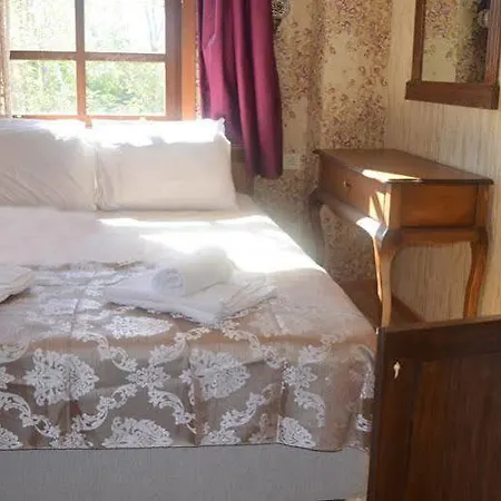 Doruk Séjour chez l'habitant *