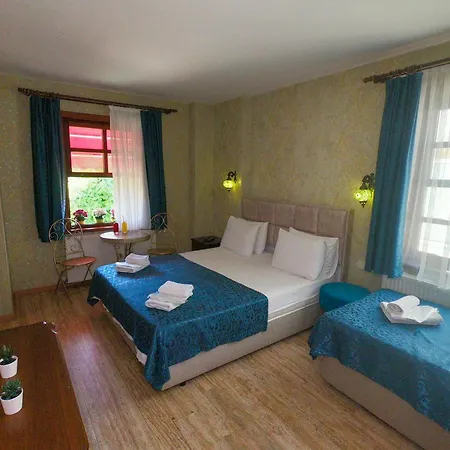 Проживание в семье Doruk