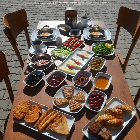 Doruk Проживание в семье *