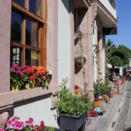 Doruk Проживание в семье Айвалык