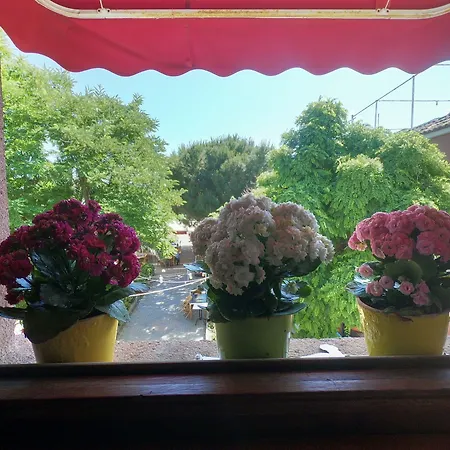 Проживание в семье Doruk Айвалык