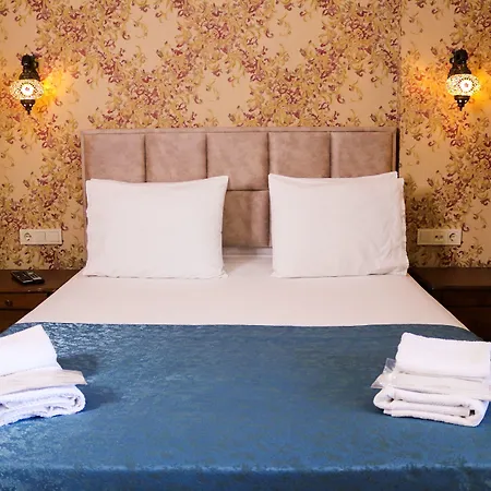 Проживание в семье Doruk