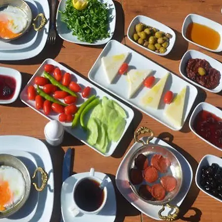 Doruk Проживание в семье *