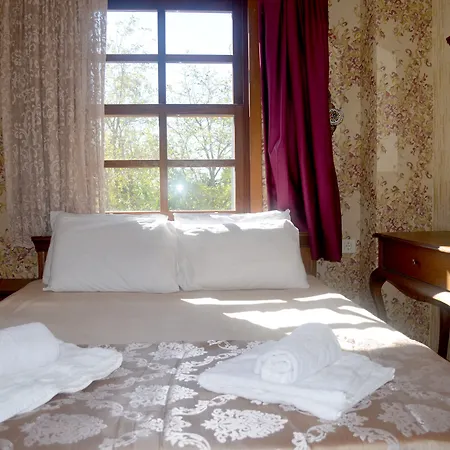 Проживание в семье Doruk