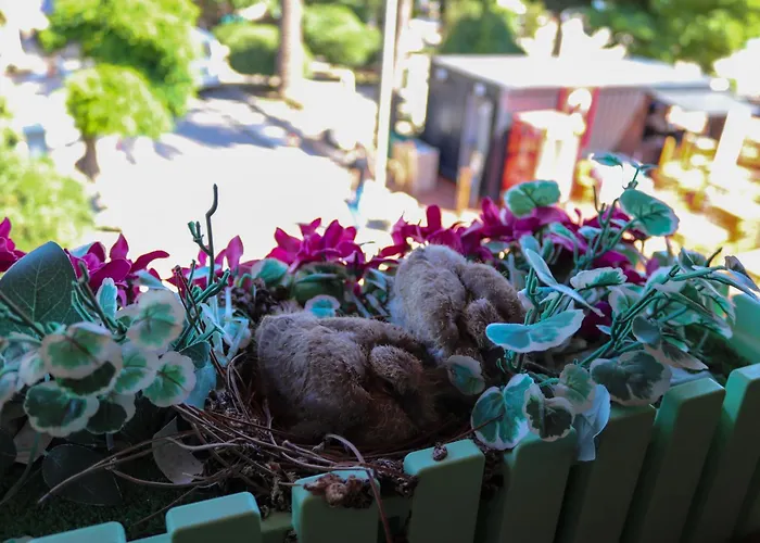 民宿 Doruk Ayvalı