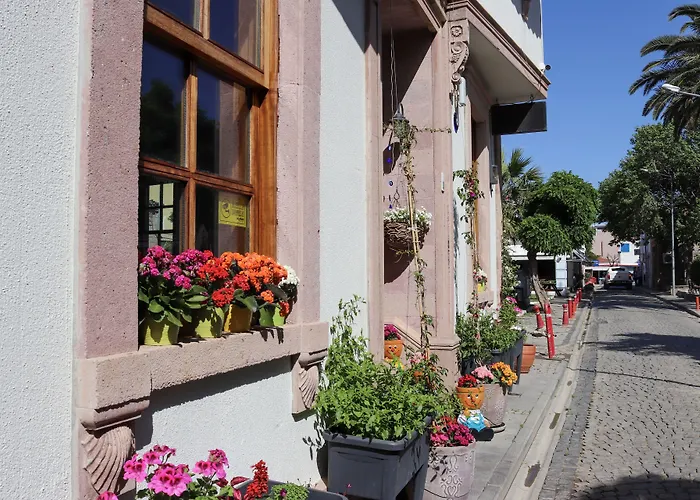 Doruk 民宿 Ayvalı