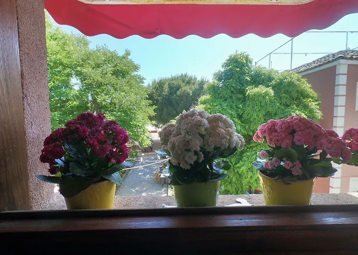 民宿 Doruk Ayvalı